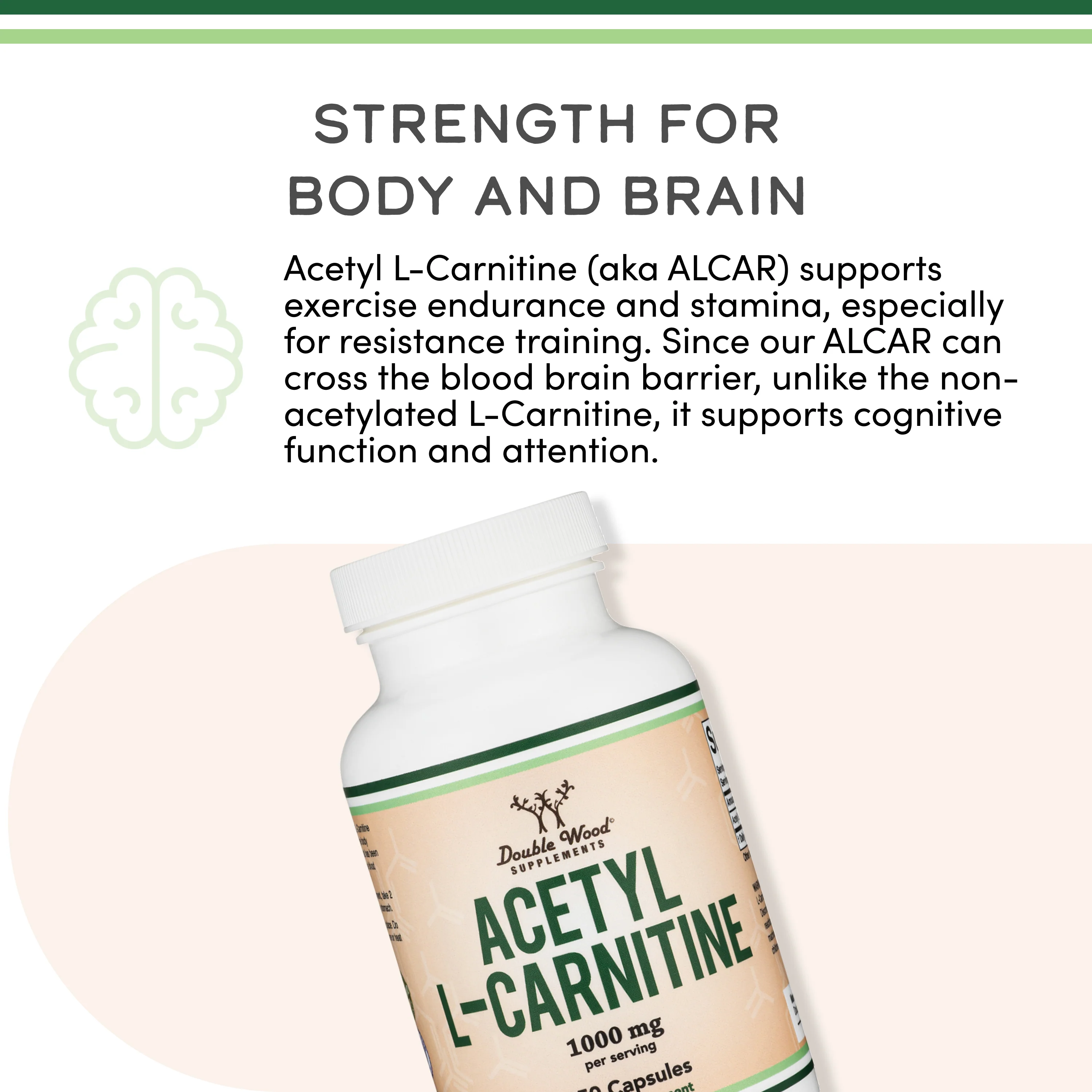 Acetyl L-Carnitine (ALCAR) Supplement - Image 4