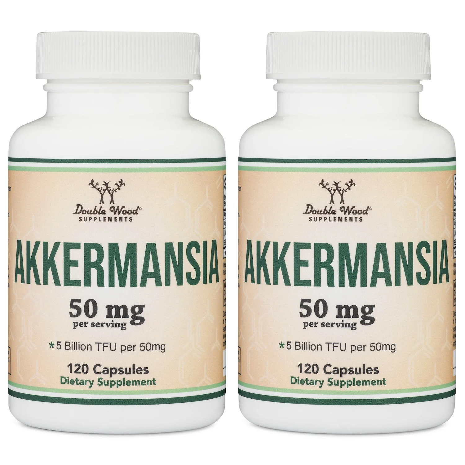 Akkermansia Supplement - Image 6