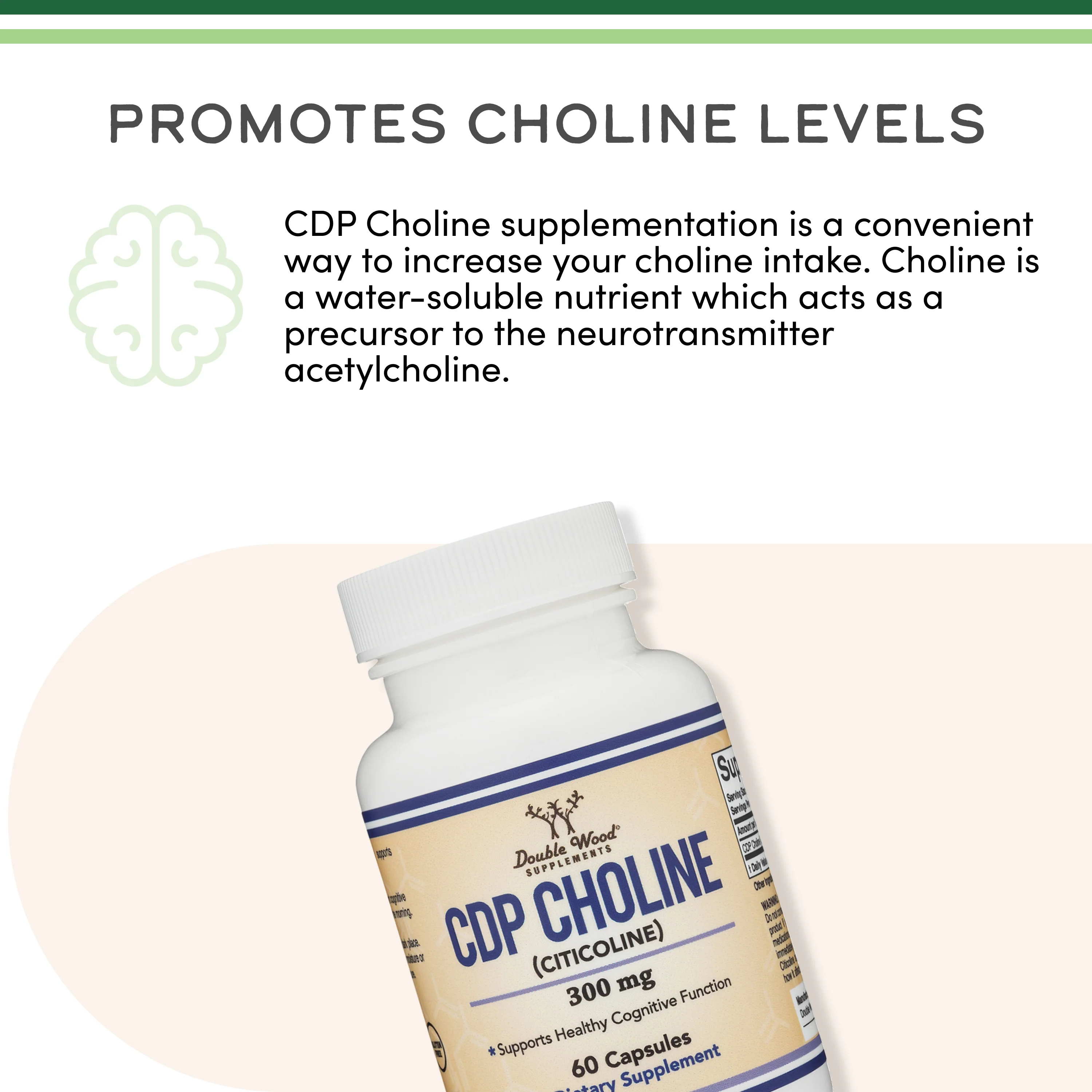 CDP Choline Supplement - Image 4