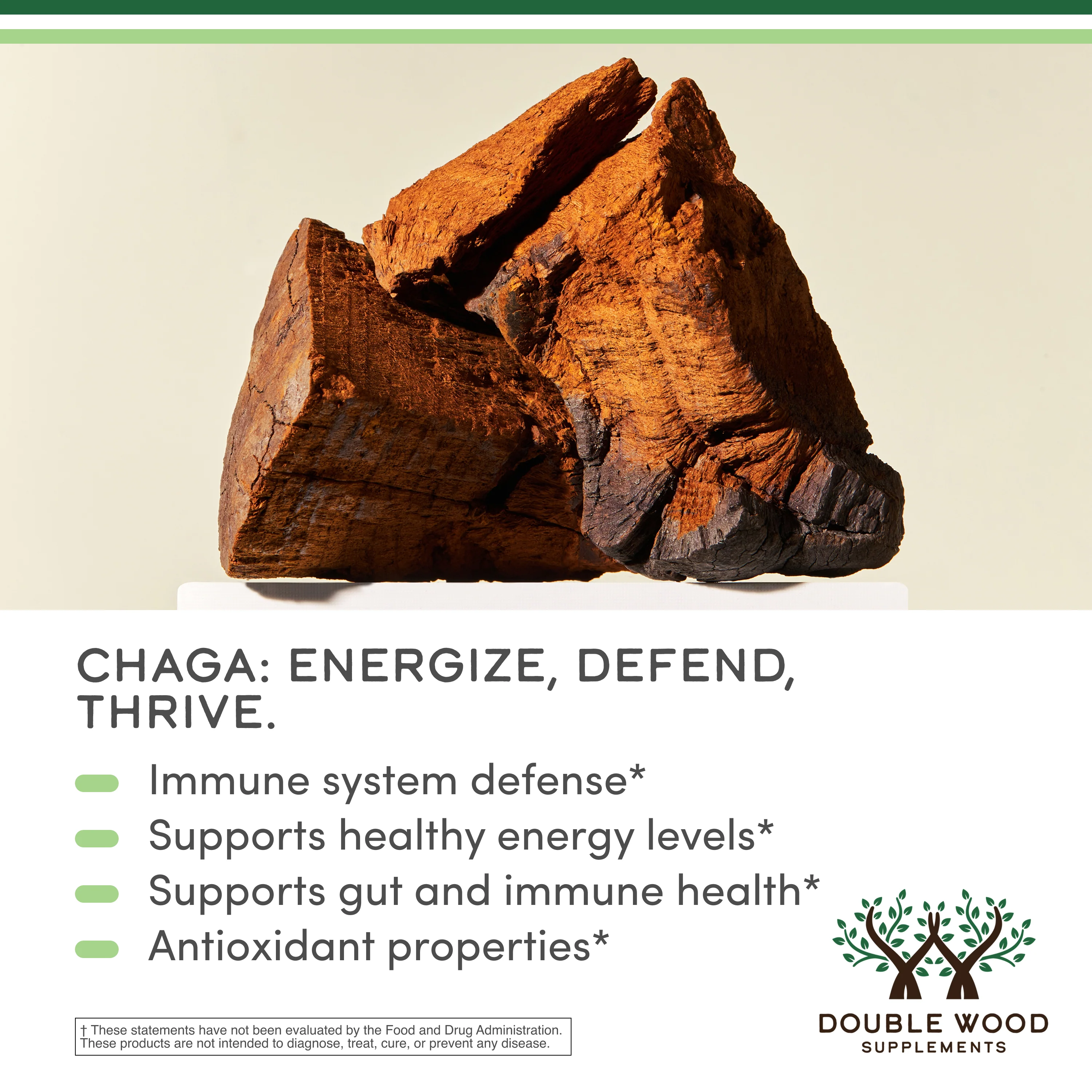 Chaga Mushroom Supplement - Image 3