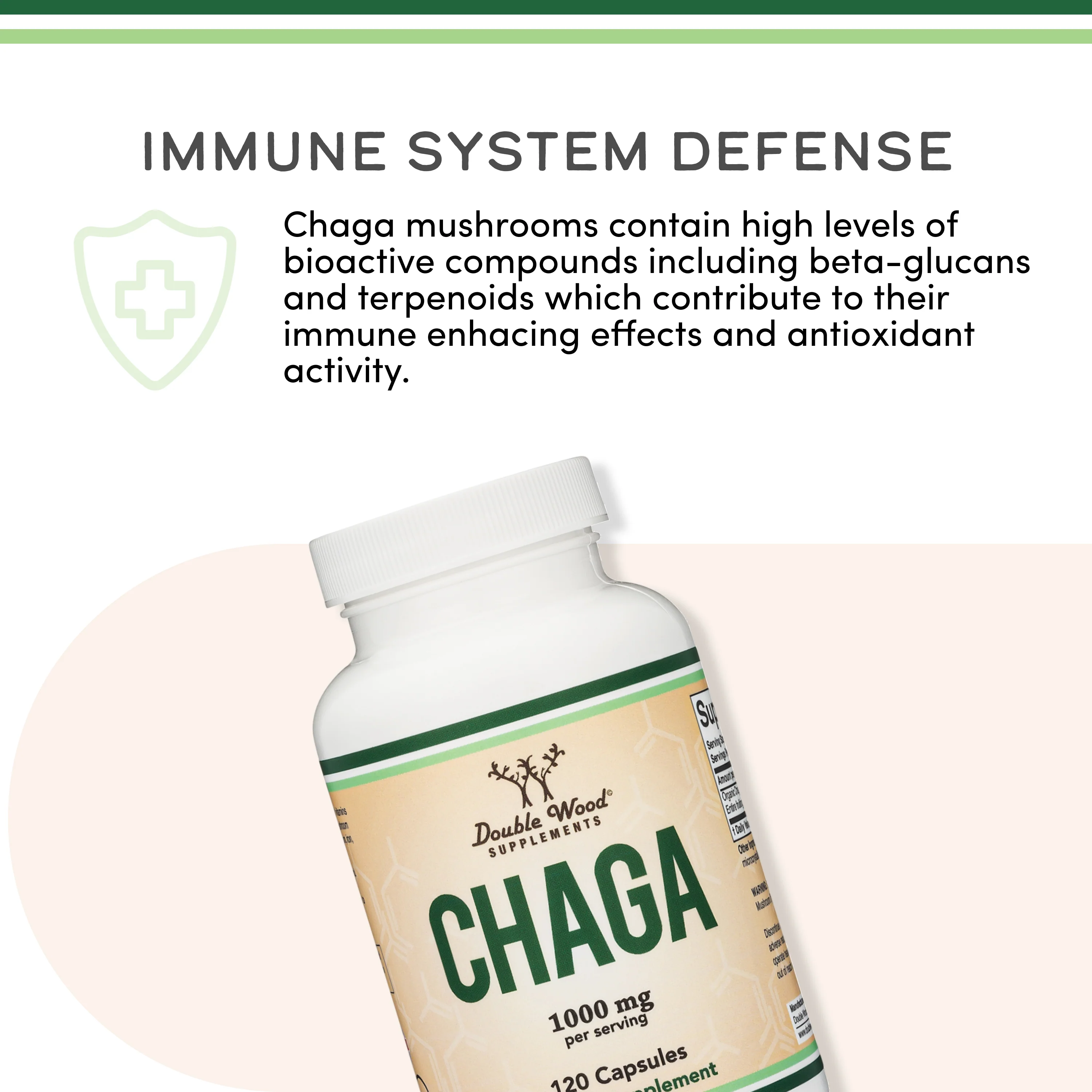 Chaga Mushroom Supplement - Image 4