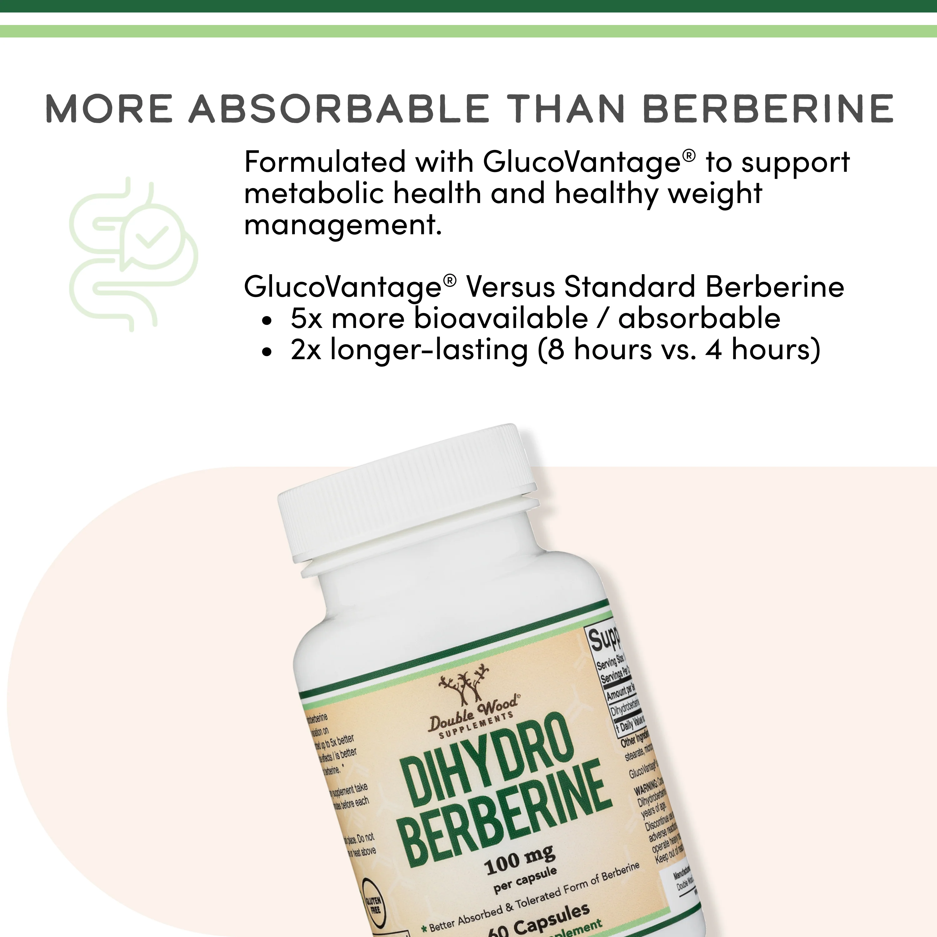 Dihydroberberine Supplement - Image 4