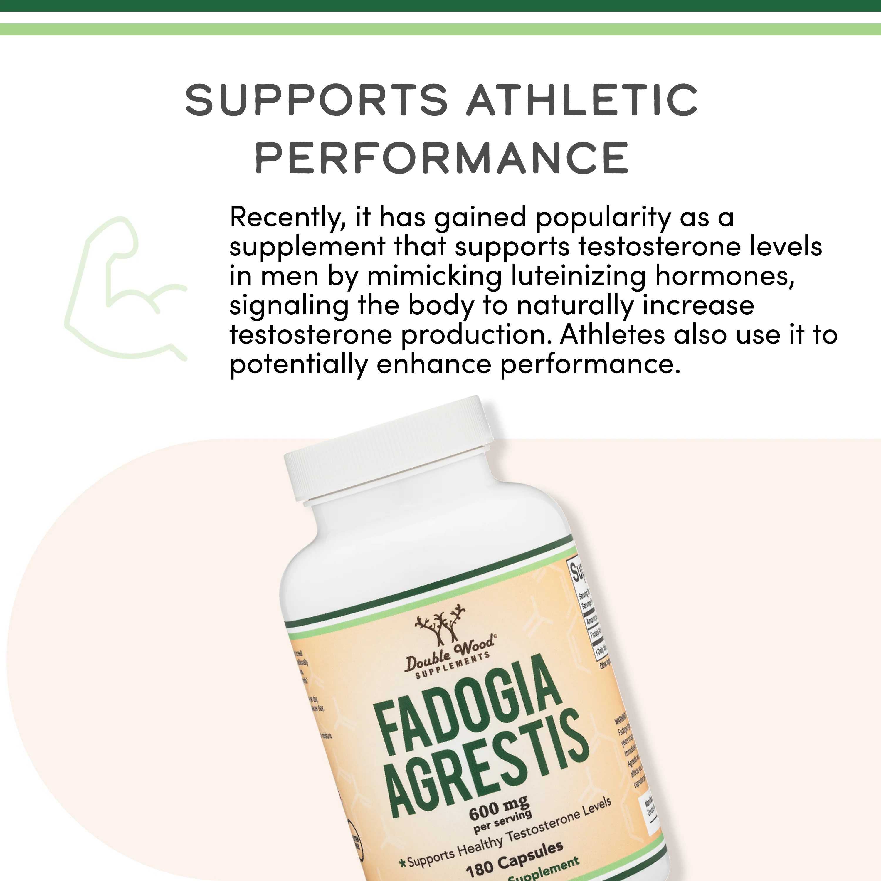 Fadogia Agrestis Supplement - Image 4