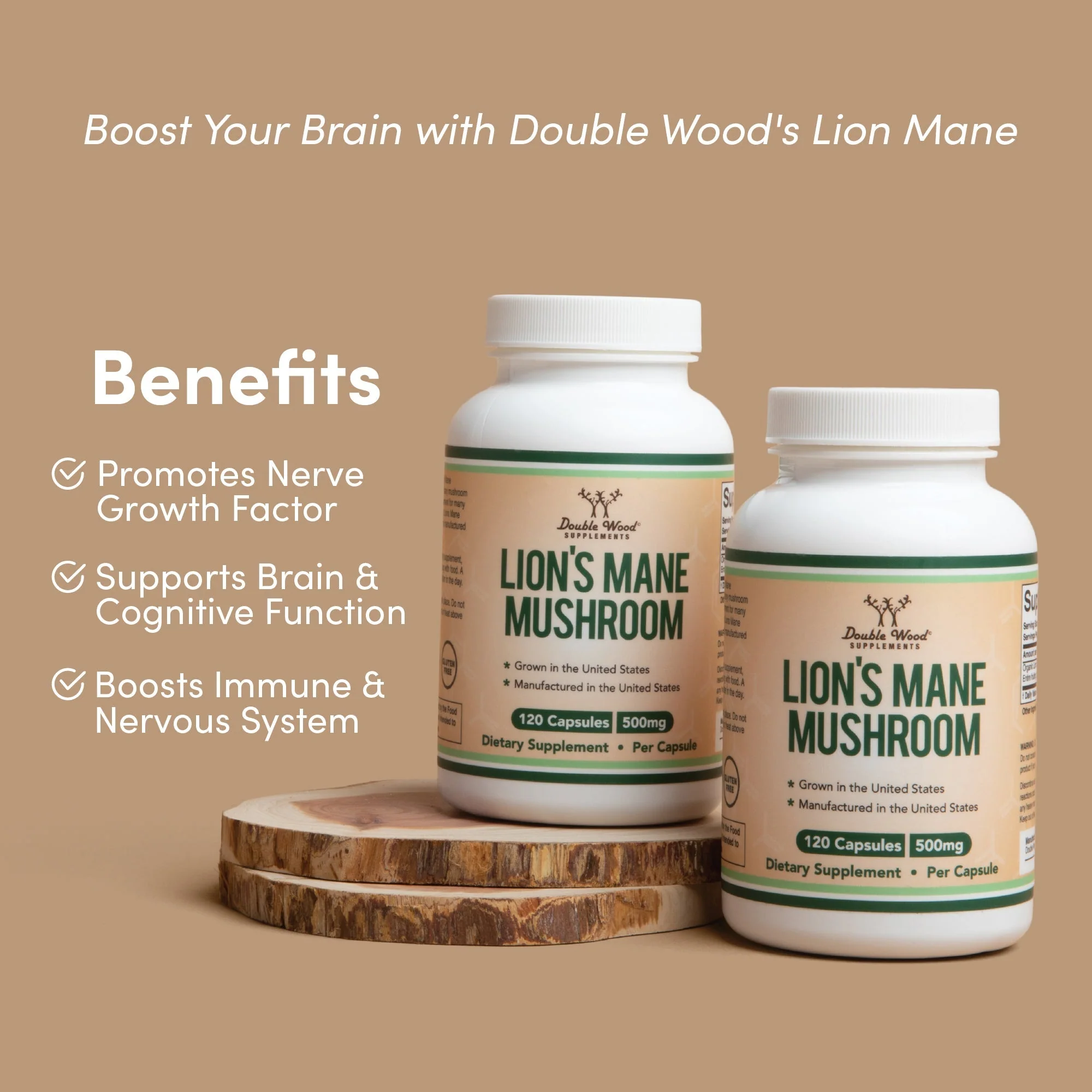 Lion's Mane Mushroom Supplement - Image 3