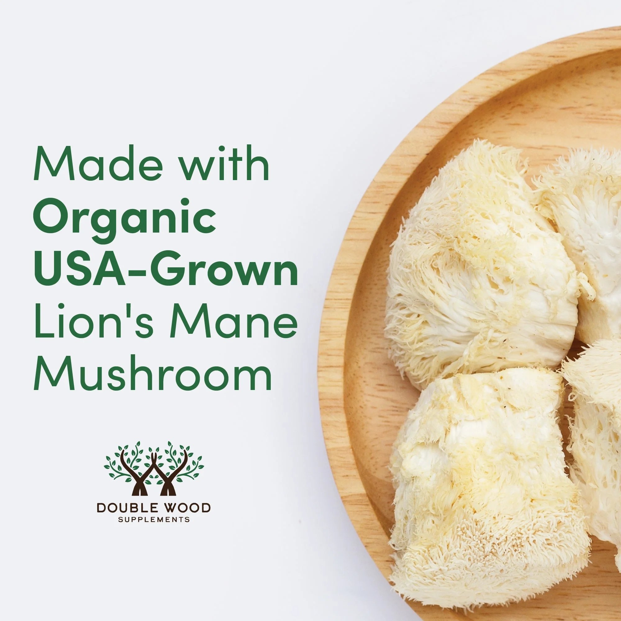 Lion's Mane Mushroom Supplement - Image 4
