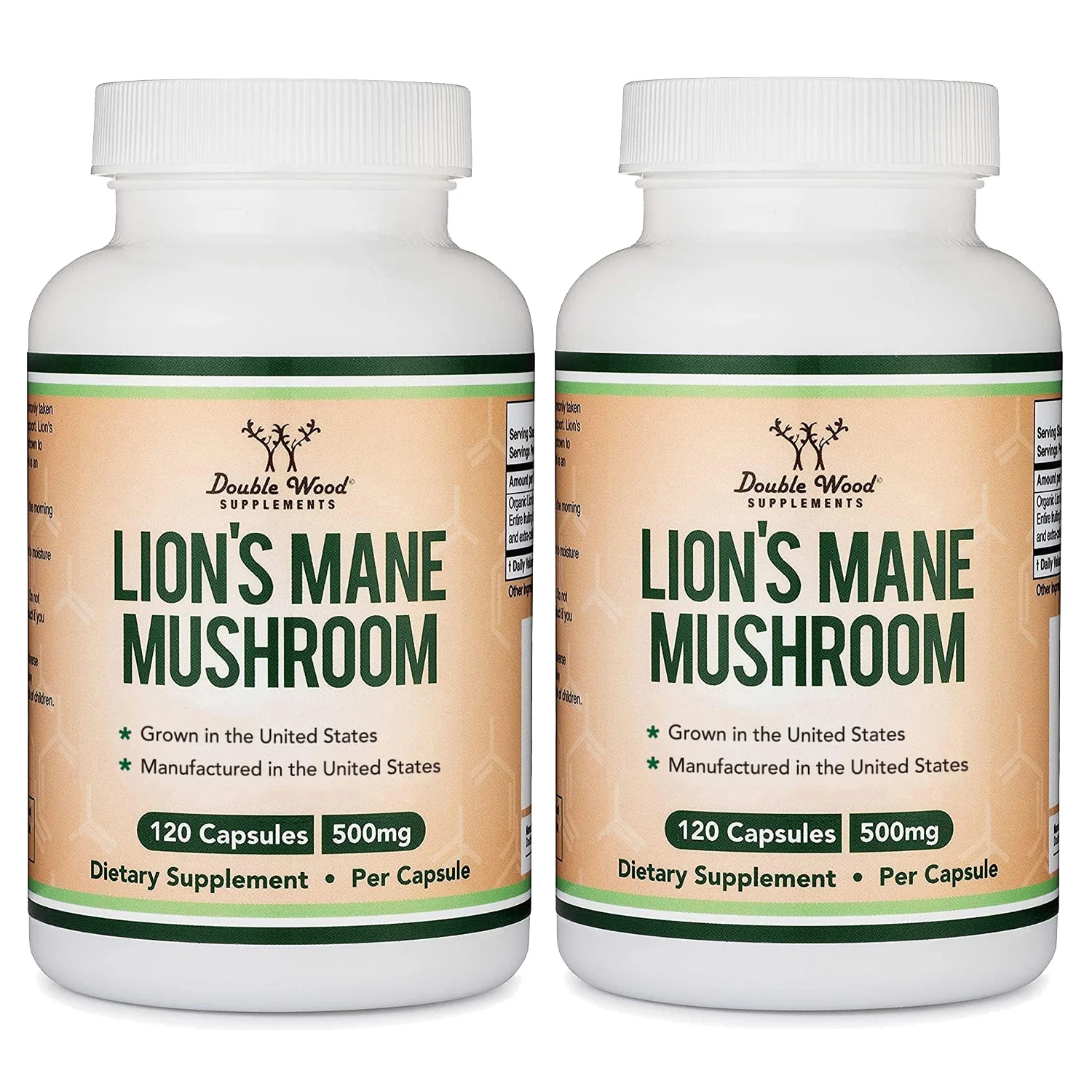 Lion's Mane Mushroom Supplement - Image 8
