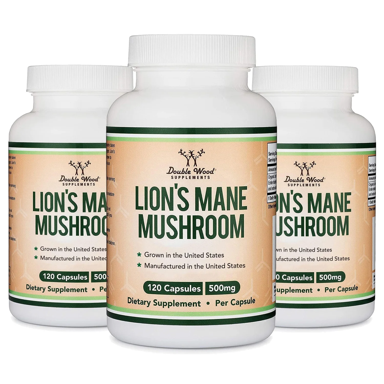 Lion's Mane Mushroom Supplement - Image 9