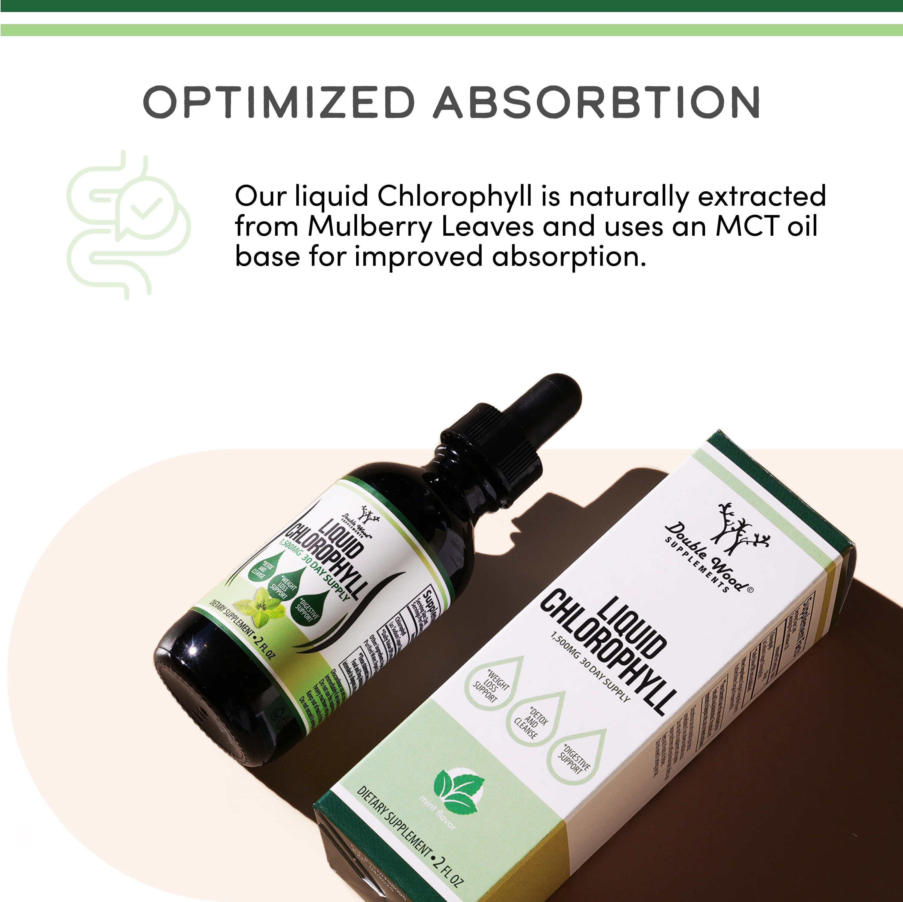 Liquid Chlorophyll & Digestive Enzymes Stack - Image 2
