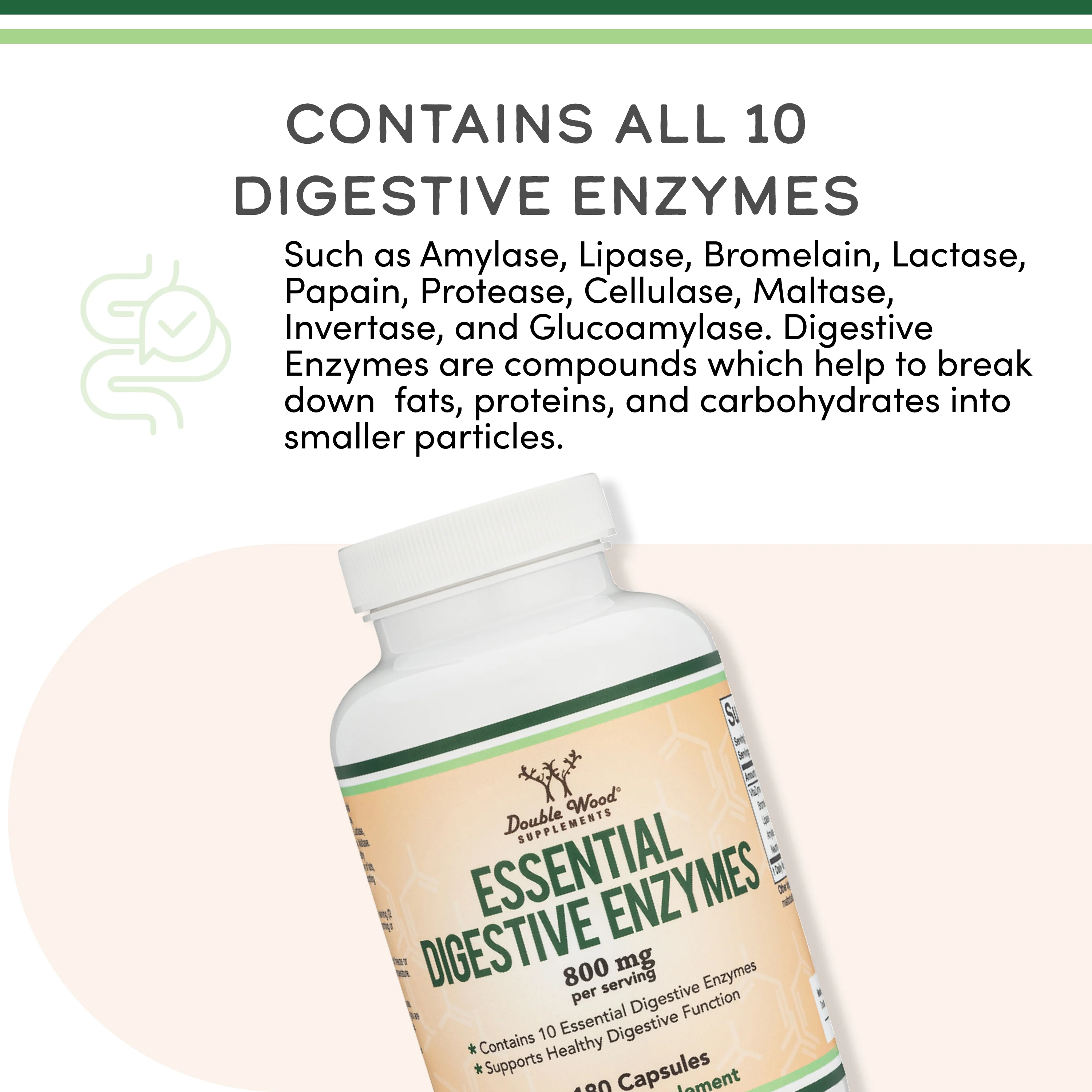 Liquid Chlorophyll & Digestive Enzymes Stack - Image 5