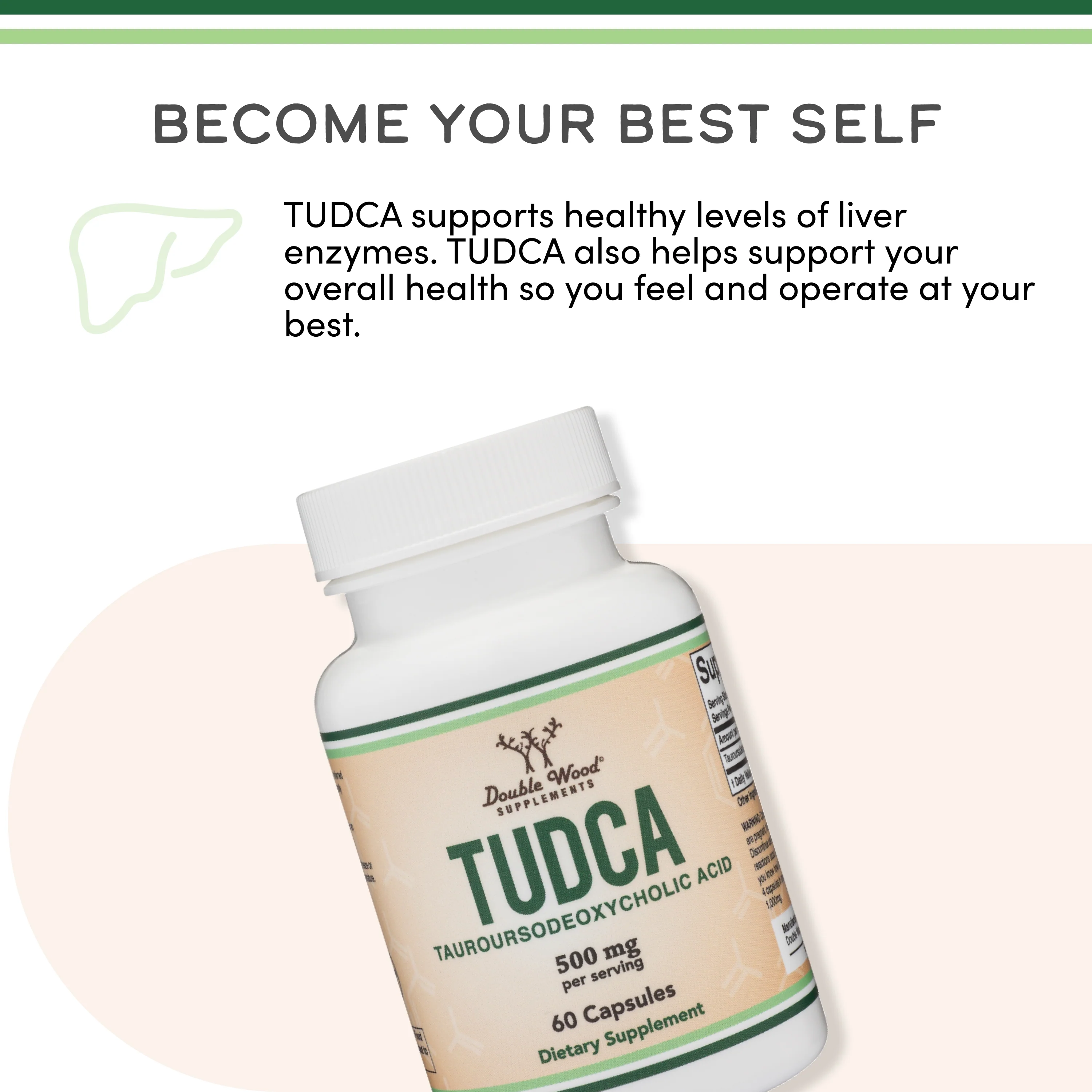 TUDCA Supplement - Image 4